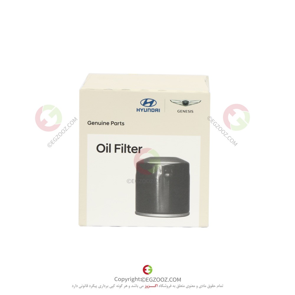 فیلتر روغن موتور GDI - 2630035531